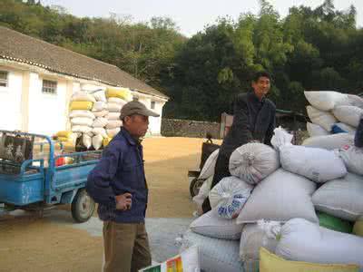 152戶農(nóng)民賣糧因地磅被做手腳被坑 商販補(bǔ)償5.82萬元